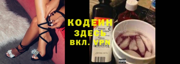 дживик Абаза