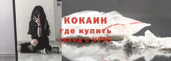 дживик Абаза